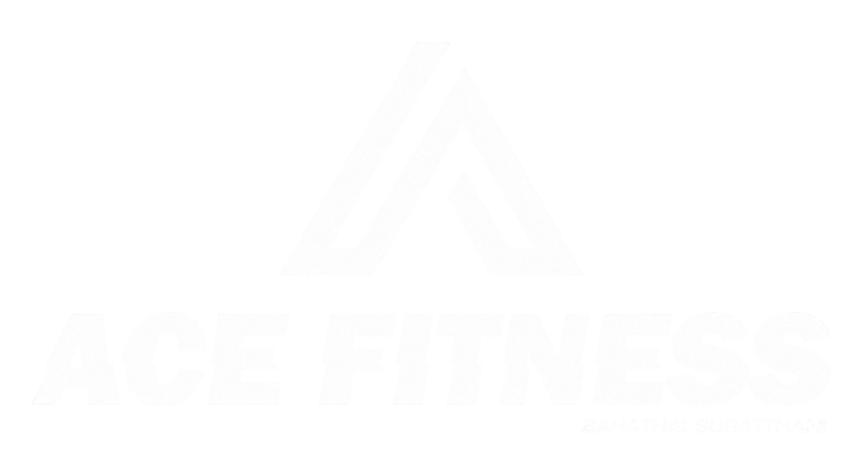 ACE FITNESS